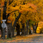 El otoño urbano y ese cambio de ritmo que se siente en la ciudad