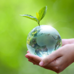 Por qué el cuidado del planeta se volvió un tema urgente